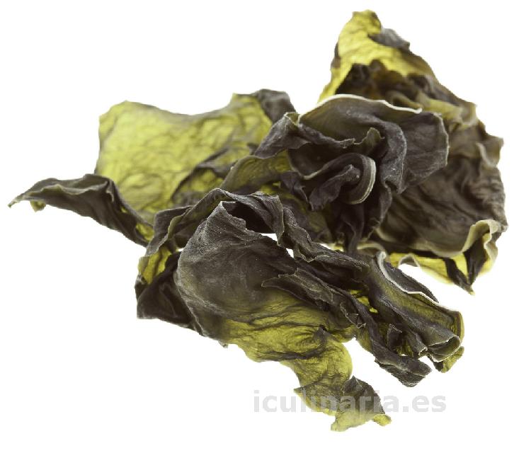 alga lechuga de mar | Innova Culinaria